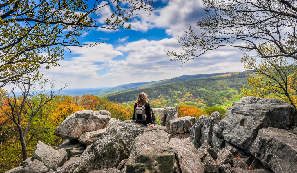 Magnificent Appalachian Vistas